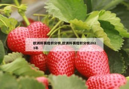 欧洲杯赛程积分榜,欧洲杯赛程积分榜2023年