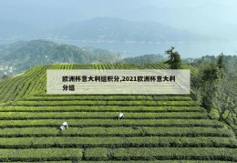 欧洲杯意大利组积分,2021欧洲杯意大利分组