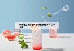 欧洲杯正赛进球榜,欧洲杯赛程2021进球集锦