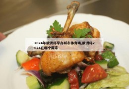 2024年欧洲杯举办城市体育场,欧洲杯2024在哪个国家