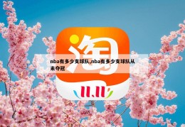 nba有多少支球队,nba有多少支球队从未夺冠