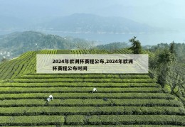 2024年欧洲杯赛程公布,2024年欧洲杯赛程公布时间