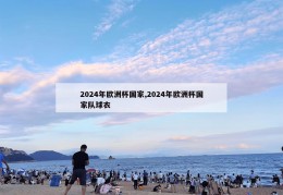 2024年欧洲杯国家,2024年欧洲杯国家队球衣