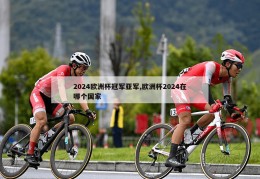 2024欧洲杯冠军亚军,欧洲杯2024在哪个国家