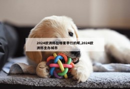 2024欧洲杯在哪里举行的呢,2024欧洲杯主办城市