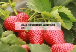 2024足球欧洲杯英格兰,21年欧洲杯英格兰