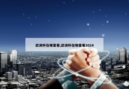 欧洲杯在哪里看,欧洲杯在哪里看2024