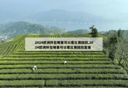 2024欧洲杯在哪里可以看比赛回放,2024欧洲杯在哪里可以看比赛回放直播