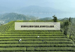 欧洲杯比赛技巧回放,欧洲杯怎么回放