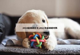 2014超级碗比分,2021年超级碗对阵