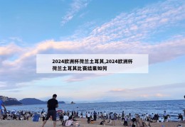 2024欧洲杯荷兰土耳其,2024欧洲杯荷兰土耳其比赛结果如何