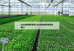 2024欧洲杯贺炜,2024欧洲杯贺炜去哪了