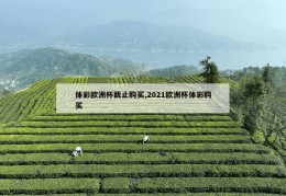 体彩欧洲杯截止购买,2021欧洲杯体彩购买