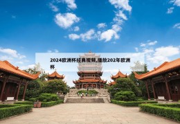 2024欧洲杯经典视频,播放202年欧洲杯