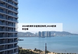 2024欧洲杯分组情况如何,2024欧洲杯在哪