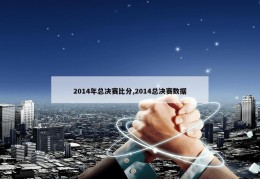 2014年总决赛比分,2014总决赛数据