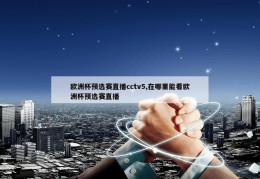 欧洲杯预选赛直播cctv5,在哪里能看欧洲杯预选赛直播