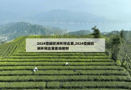 2024德国欧洲杯预选赛,2024德国欧洲杯预选赛晋级规则