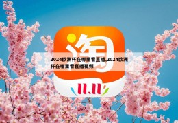 2024欧洲杯在哪里看直播,2024欧洲杯在哪里看直播视频